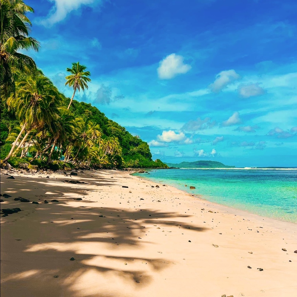 Meet your Posher, Jodie